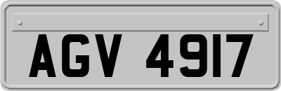 AGV4917