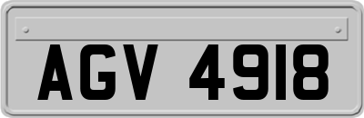 AGV4918
