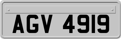 AGV4919