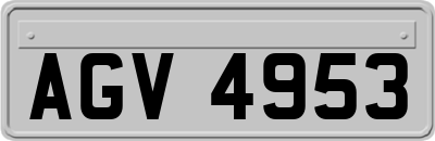 AGV4953