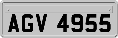 AGV4955