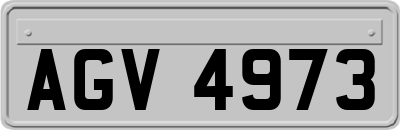 AGV4973