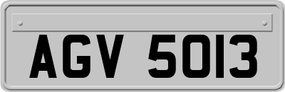 AGV5013