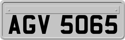 AGV5065