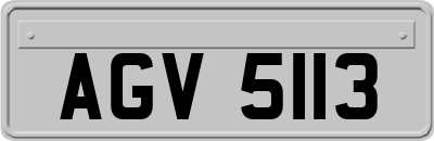 AGV5113