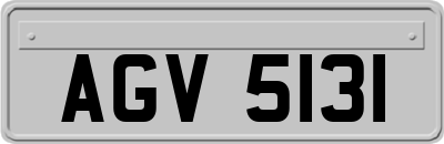 AGV5131