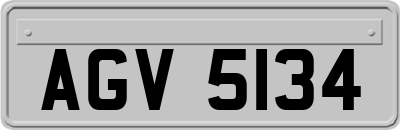 AGV5134