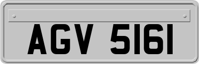 AGV5161