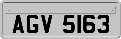AGV5163