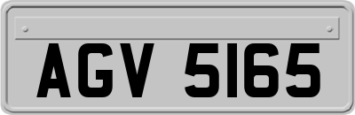 AGV5165