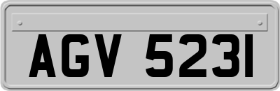 AGV5231