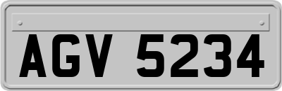 AGV5234