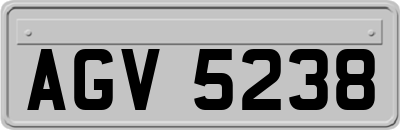 AGV5238