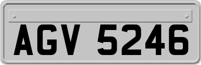 AGV5246