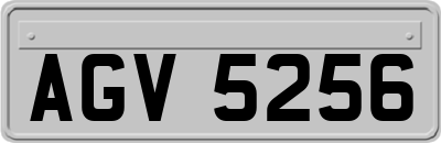 AGV5256
