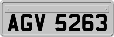AGV5263