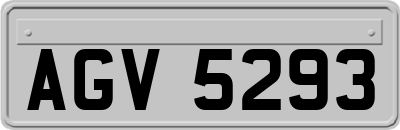 AGV5293