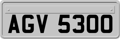 AGV5300