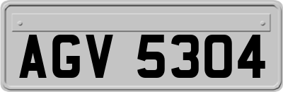 AGV5304
