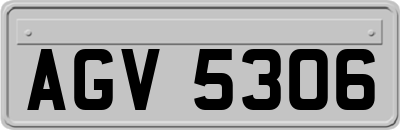 AGV5306