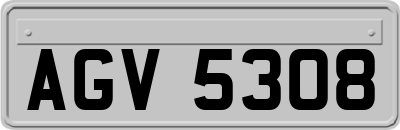 AGV5308