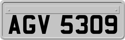 AGV5309