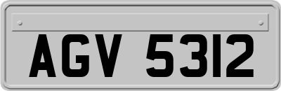 AGV5312