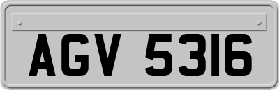 AGV5316