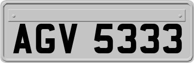 AGV5333