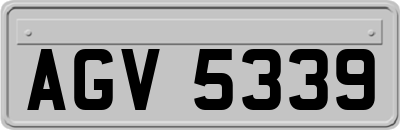 AGV5339