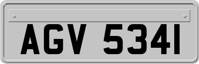 AGV5341