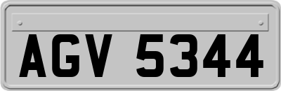AGV5344