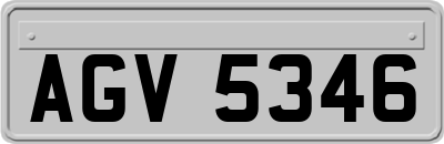 AGV5346