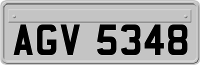 AGV5348