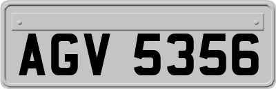 AGV5356
