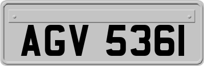 AGV5361