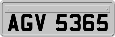 AGV5365
