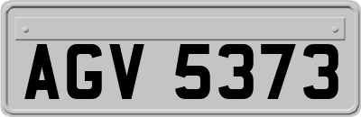 AGV5373