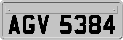 AGV5384