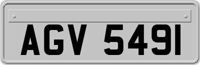 AGV5491