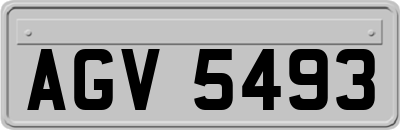 AGV5493