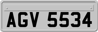 AGV5534