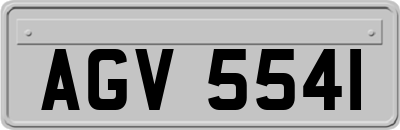 AGV5541