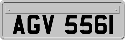 AGV5561