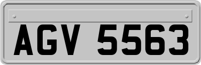 AGV5563