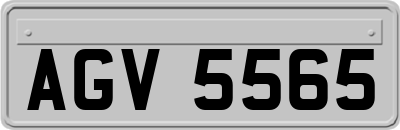AGV5565