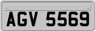 AGV5569