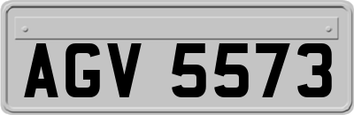 AGV5573