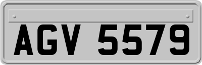 AGV5579