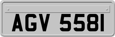 AGV5581